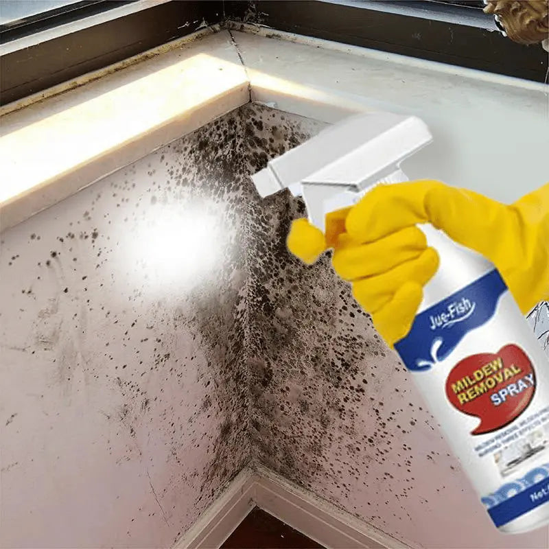 1+1 GRATIS | MoldVanish™ Schnelle Schimmelentfernung