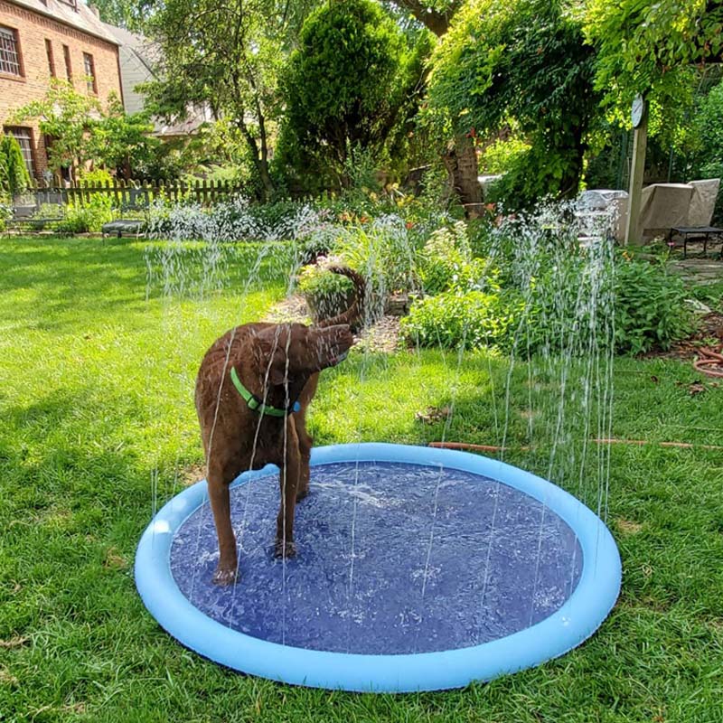 Wasser Spielmatte™ - Interaktiver Wasserspaß für Haustiere und Kinder!