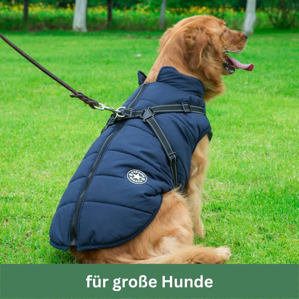 DryPaws™ - Der ultimative Schutz für Ihren Hund bei Regen und Kälte!