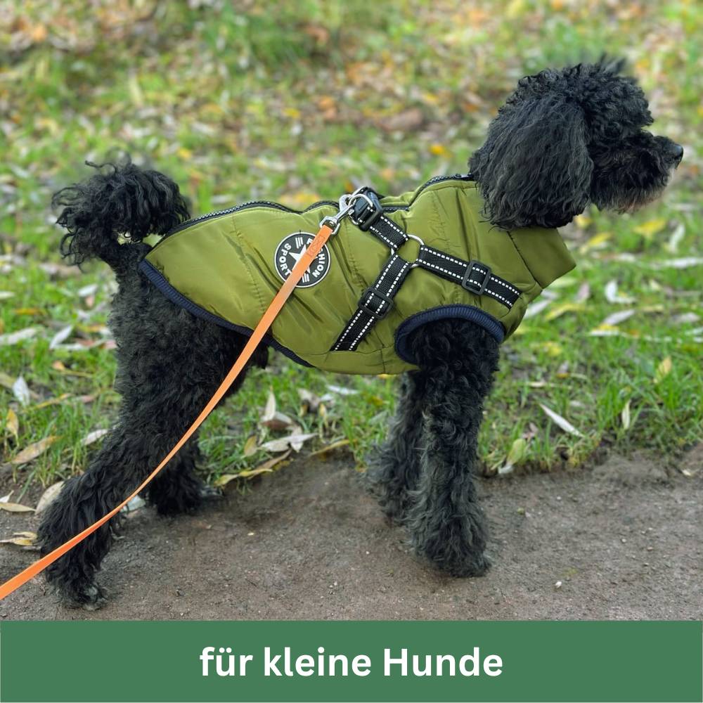 DryPaws™ - Der ultimative Schutz für Ihren Hund bei Regen und Kälte!