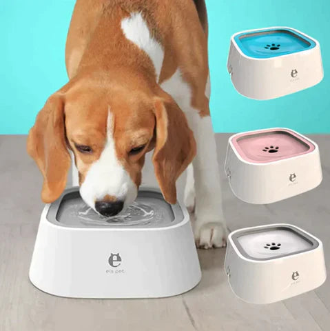 HydroPaws™ - Spritzschutz-Trinkschale für Hunde