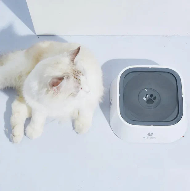 HydroPaws™ - Spritzschutz-Trinkschale für Hunde