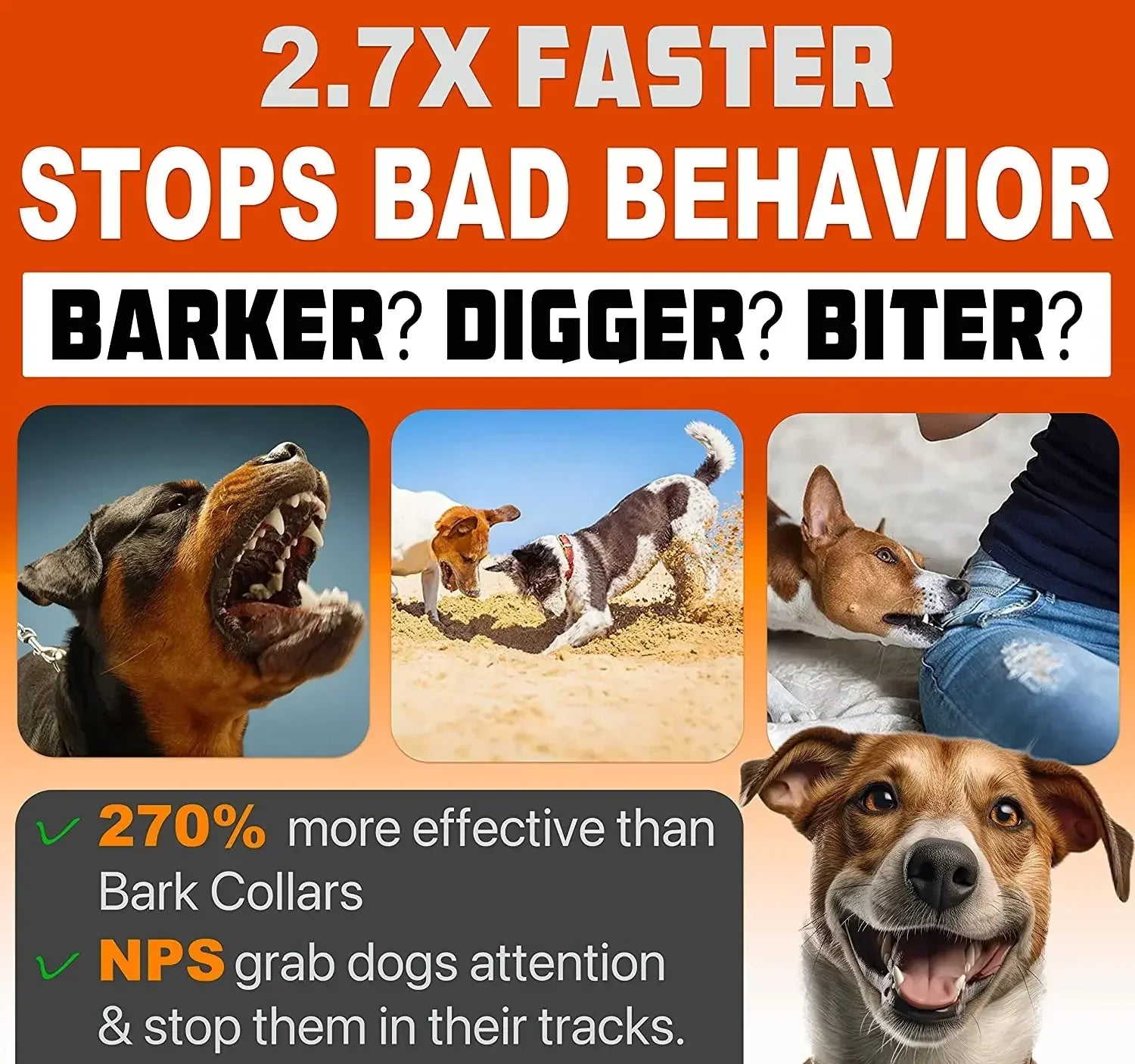 QuietPaws™ – Verbessern Sie den Frieden zu Hause mit Gentle Barking Solutions